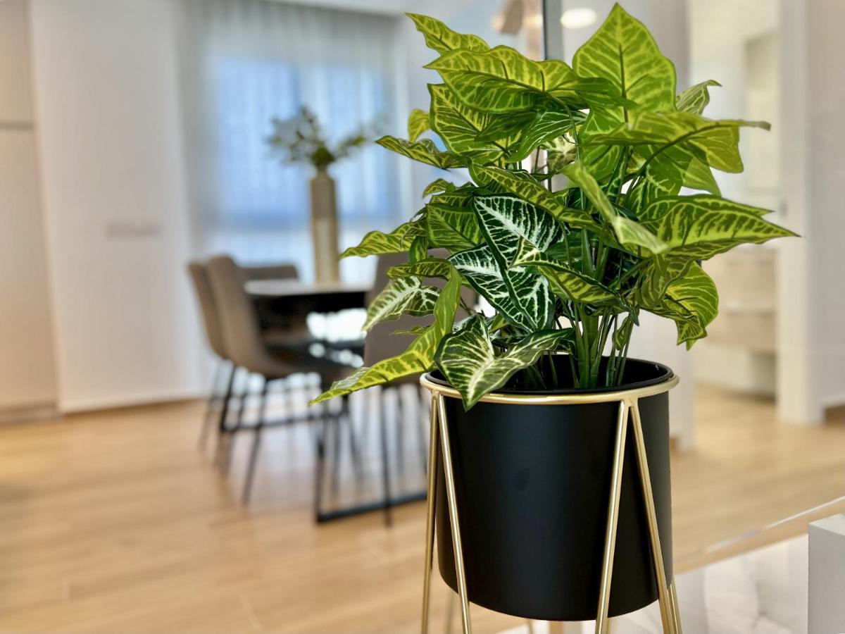 La Masion De Tout Seasonal Rental 엘 캄펠로 외부 사진